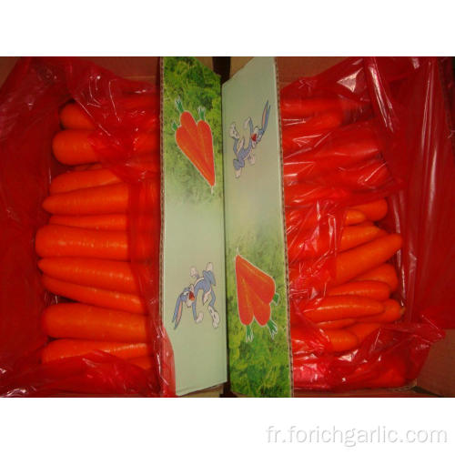 Nouvelle carotte de récolte 80-150g